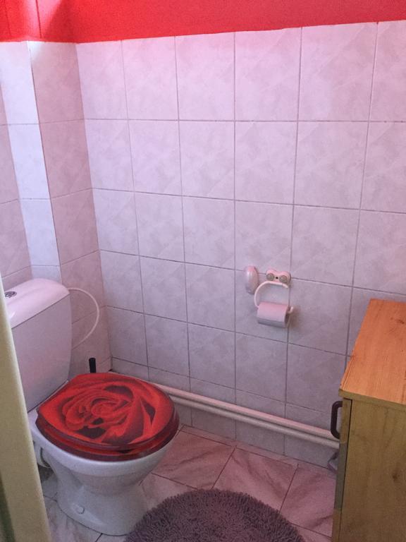 Lydiavi Apartment Vysoke Myto Exterior photo