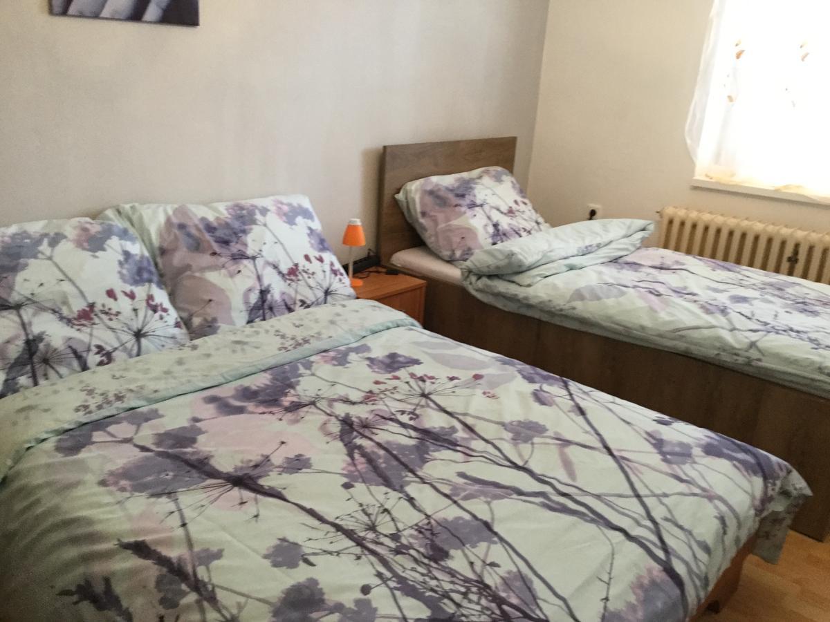 Lydiavi Apartment Vysoke Myto Exterior photo