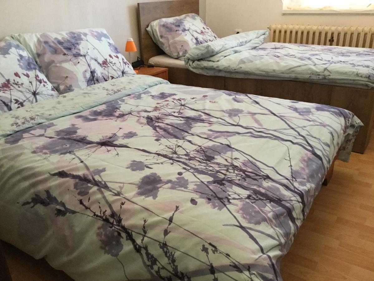 Lydiavi Apartment Vysoke Myto Room photo